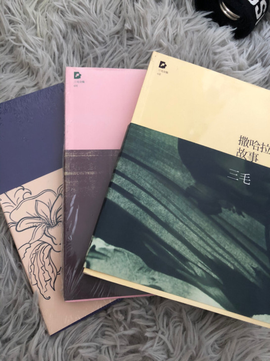 三毛书籍 《梦里花落知多少》《雨季不再来》...