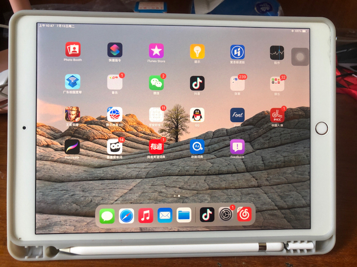 规格尺寸：iPad pro 10.5英寸 ...