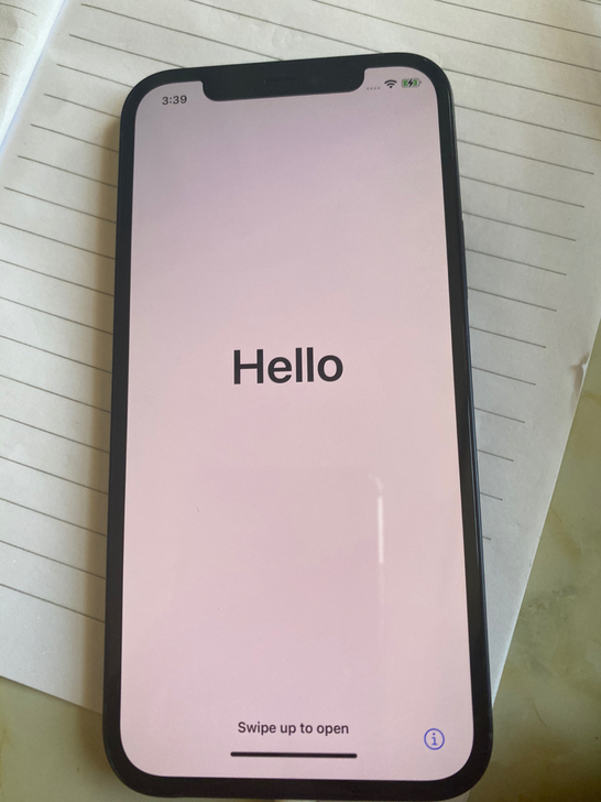 品牌型号 苹果12