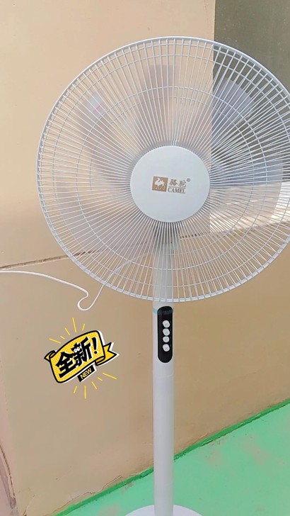 16英寸清仓实体店不做了 清仓几十台骆驼落...