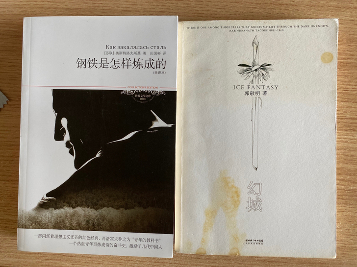 钢铁是怎样炼成的，假如给我三天光明，鲁滨逊...
