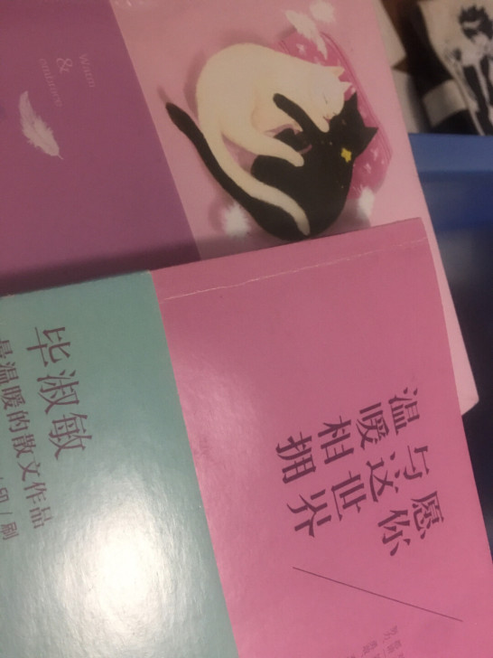 毕淑敏散文集 愿你与这世界温暖相拥1和2