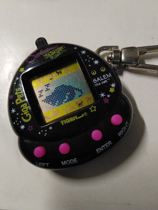 电子宠物