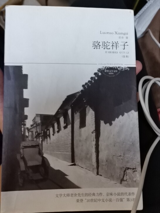 骆驼祥子