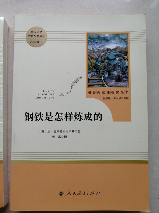 名著阅读课程化丛书 钢铁是怎样炼成的