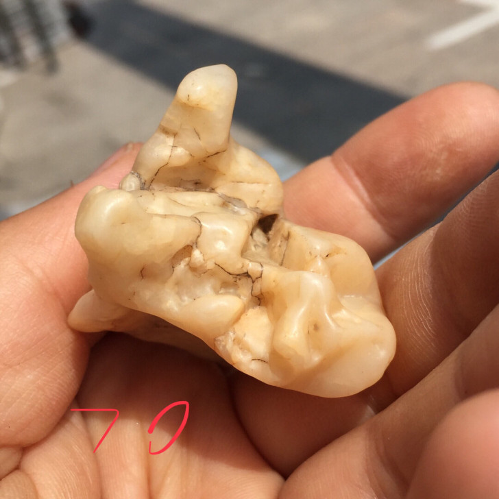 天然孔玛瑙 象形石 人物 李白 奇石 戈壁石