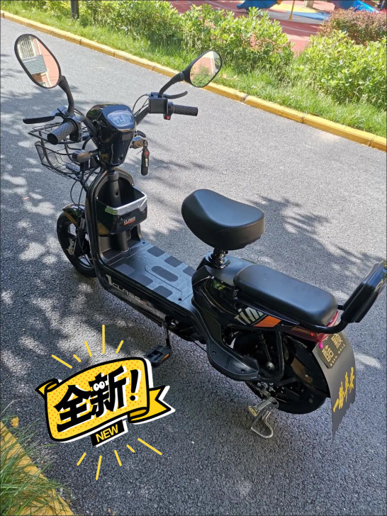 电动车新国标电瓶48V小型代步助力电单车男...