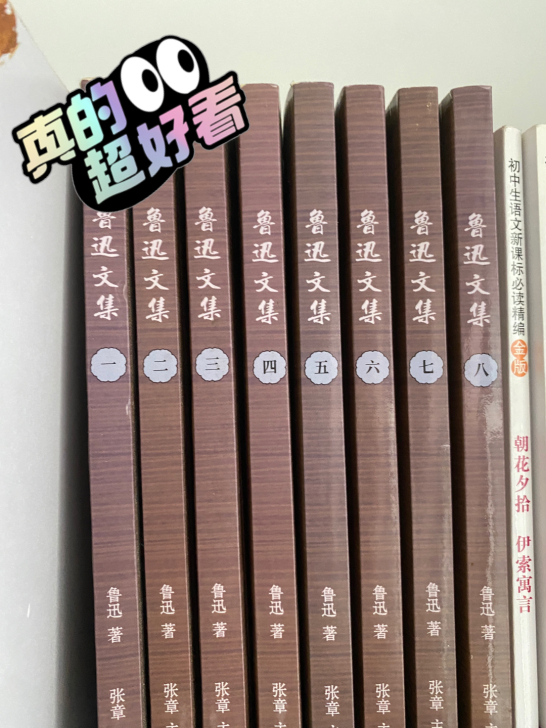 鲁迅文集   共八册
