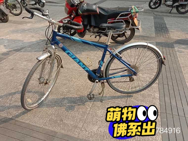 经典捷安特旅行自行车