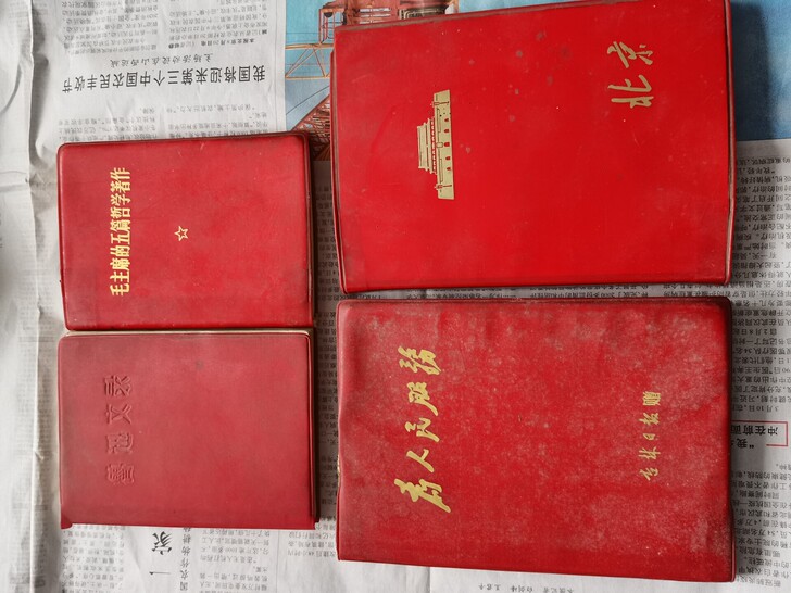 红色资料，红宝书，鲁迅文录，老笔记本，影视...