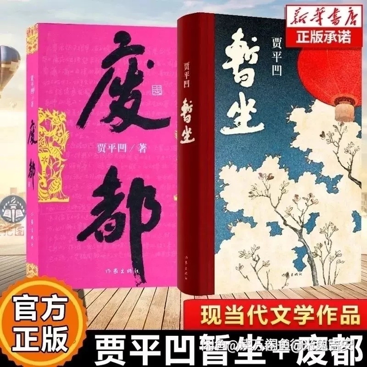 暂坐  废都 各种格式   非纸质版   ...