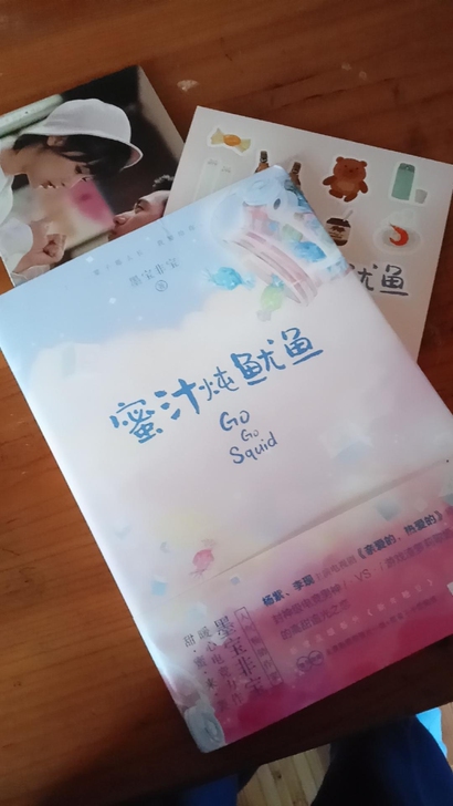 《蜜汁炖鱿鱼》亲爱的热爱的原著小说，赠原版...