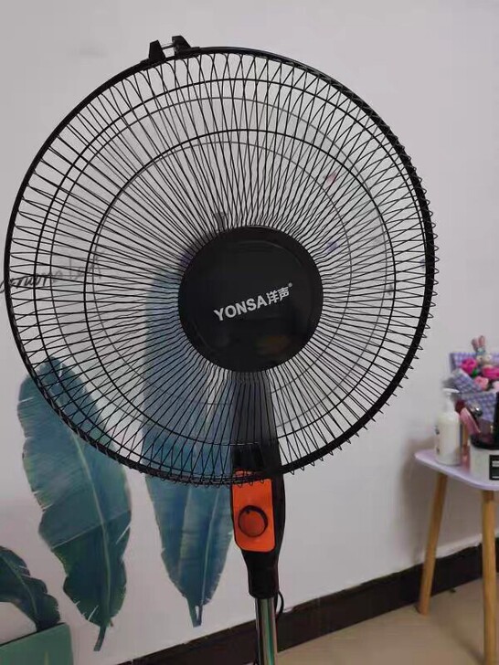 电风扇家用落地扇宿舍大风立式摇头工业电扇台...