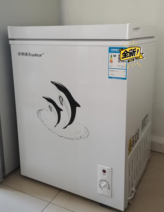 荣事达家用冷柜小冰柜家用小型迷你冷冻柜商用...