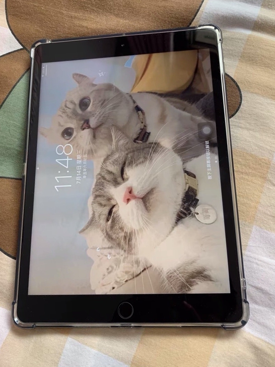 低价转让 iPad 2019款10.2英寸...