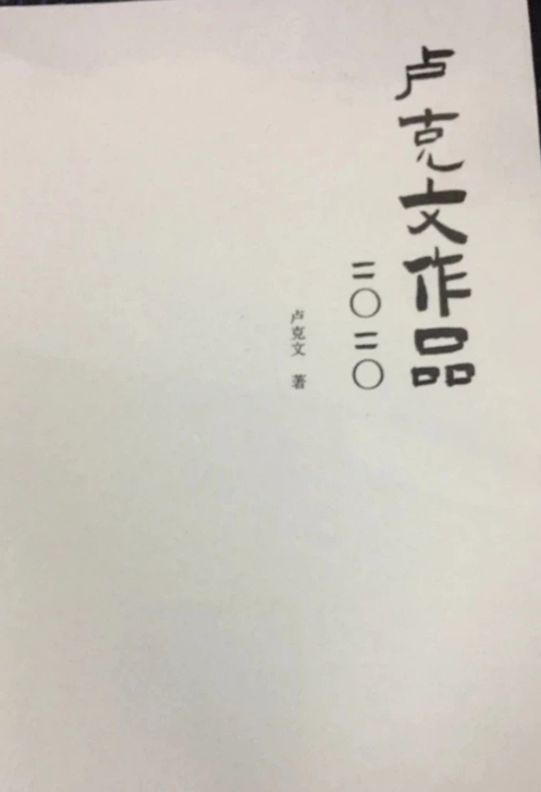 卢克文作品,卢克文2020