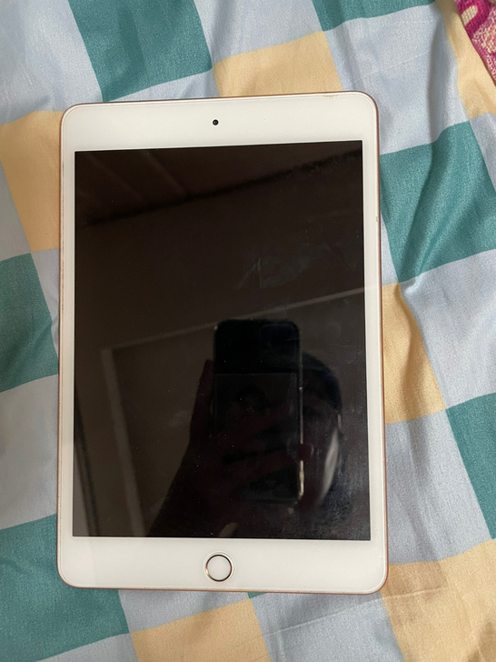 苹果iPad mini5 64G女生自用...