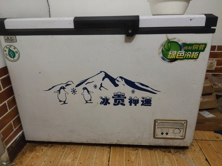 冰柜400自取文安县城