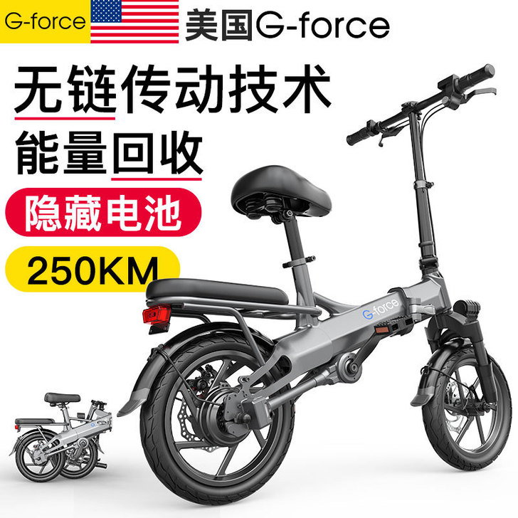 G-FORCE 电动自行车，配有外加一组电...