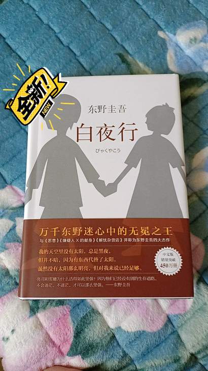 白夜行东野圭吾侦探悬疑推理小说集恶意嫌疑人...