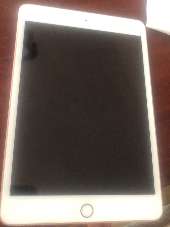 ipadmini5 64g wifi 金色