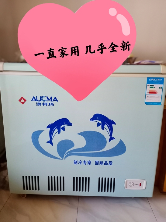 闲置澳柯玛冷柜 217升 家用 几乎全新