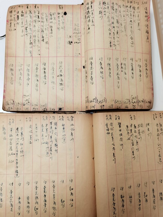 二本七十年代的家庭流水账，记出那时的艰辛。...