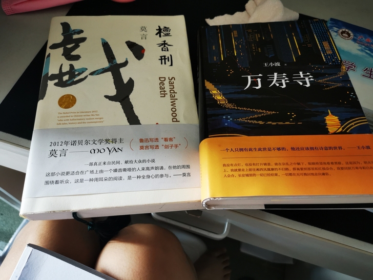 莫言和小波的作品 檀香刑 万寿寺