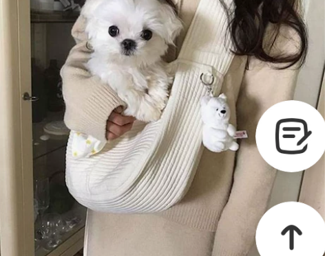 果柠莞尔 女士包 我家小猫小时候用过现在...