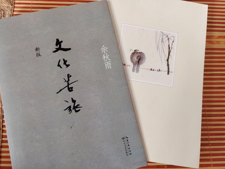 新版《文化苦旅》余秋雨
