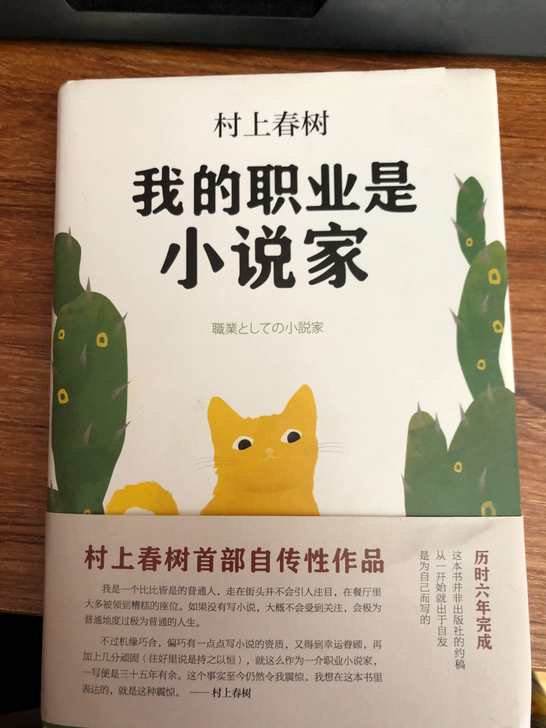 我的职业是小说家 村上春树