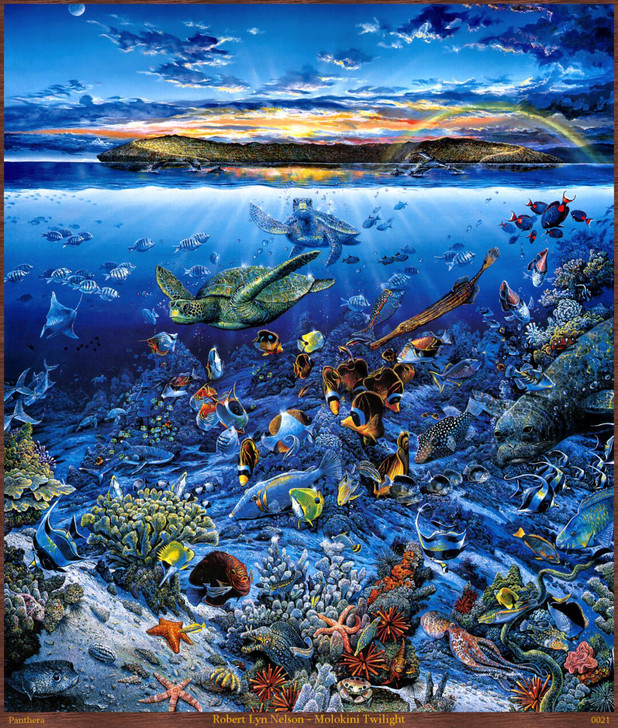 海底世界系列作品  微喷油画 材质：防水油...