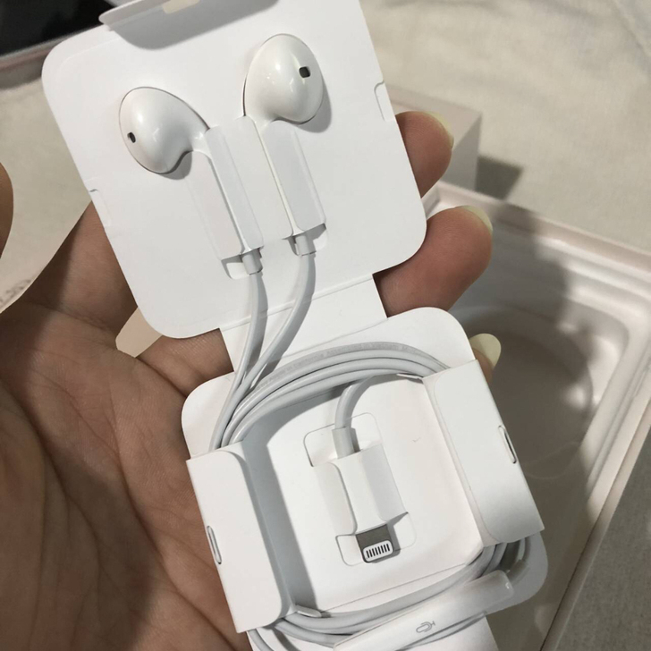 苹果扁头耳机 全新没用过的！百分百正品！支...