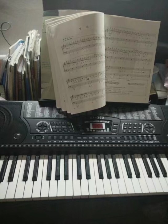 新韵电子琴初学者新手电子琴新韵360入门琴