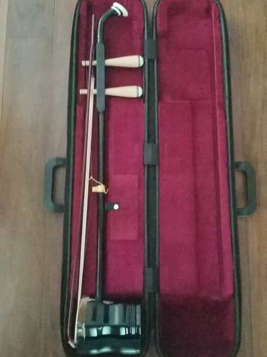 二胡，适合初级阶段，带琴盒