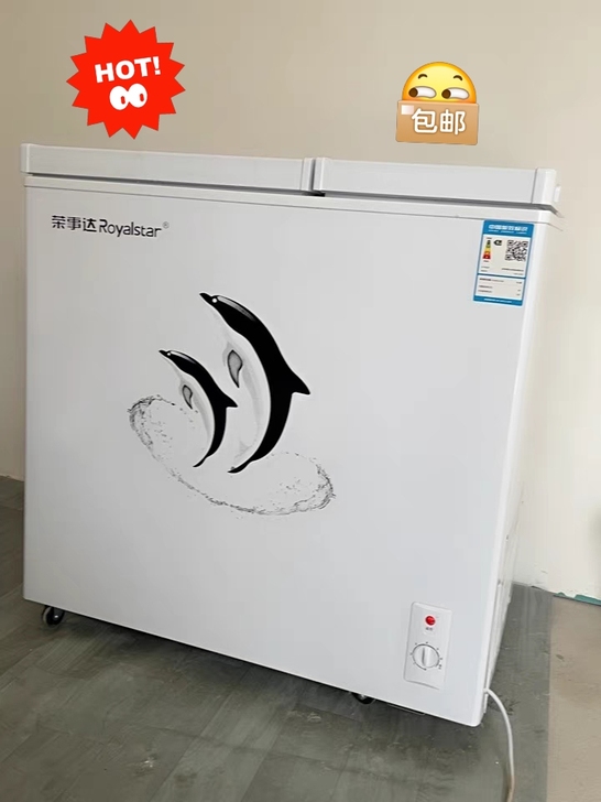【特价促销处理】荣事达小冰柜家用全冷冻小型...