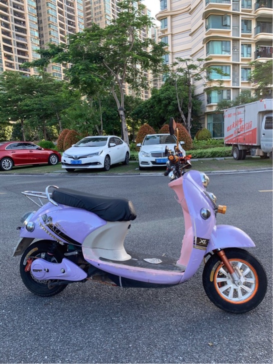 电动车 电动自行车 小绵羊雅迪 奥娃