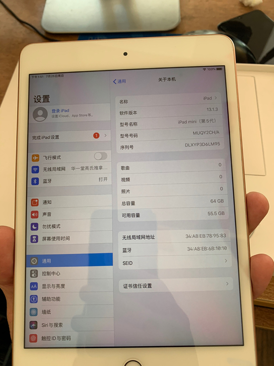 ipadmini5国行64g，13.1.3...