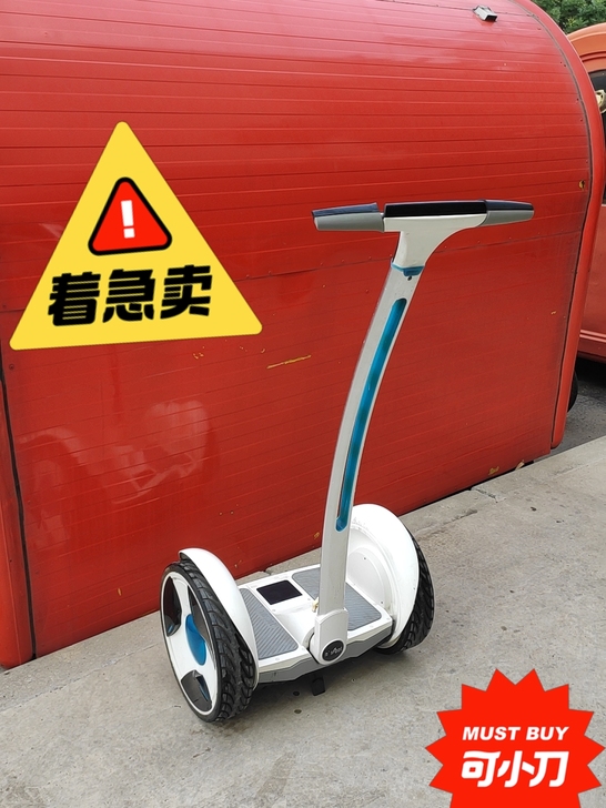 纳恩博9号平衡车ninebot（小米平衡车...