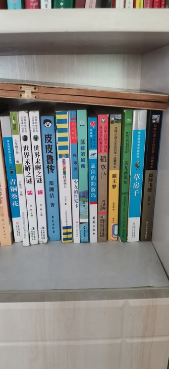 家中有一些小学生阅读书籍，有八成到九成新，...
