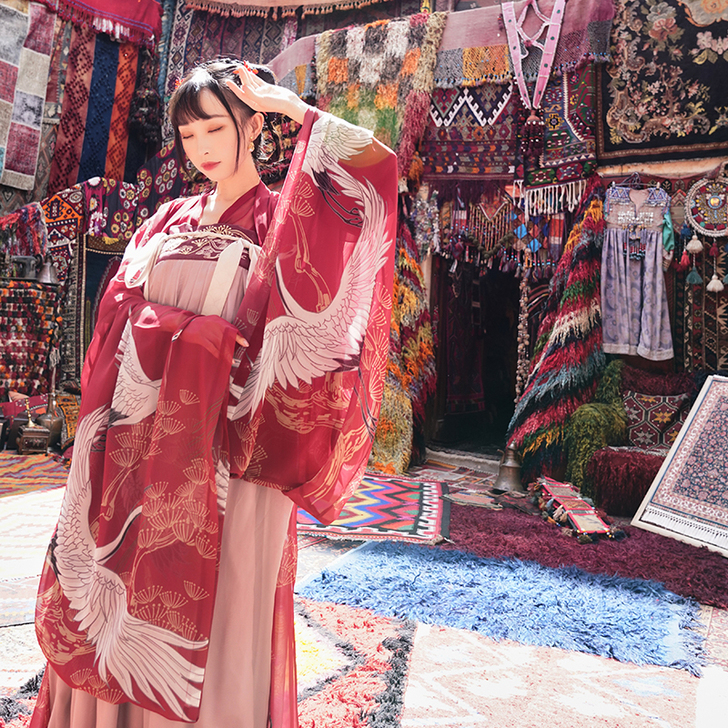 十三余 汉服 松鹤仙 外衫