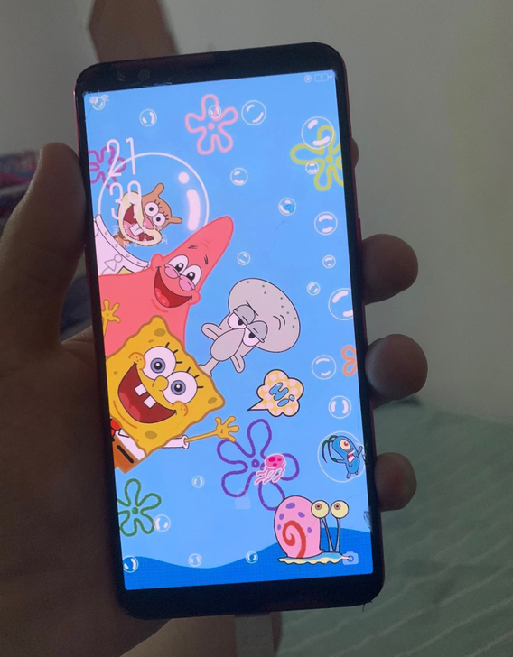 oppor11st狗年限定版
