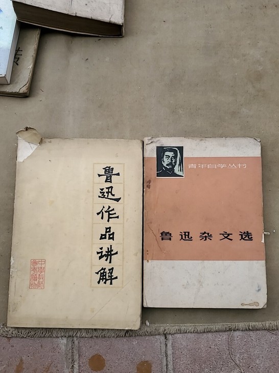 旧书：鲁迅文选