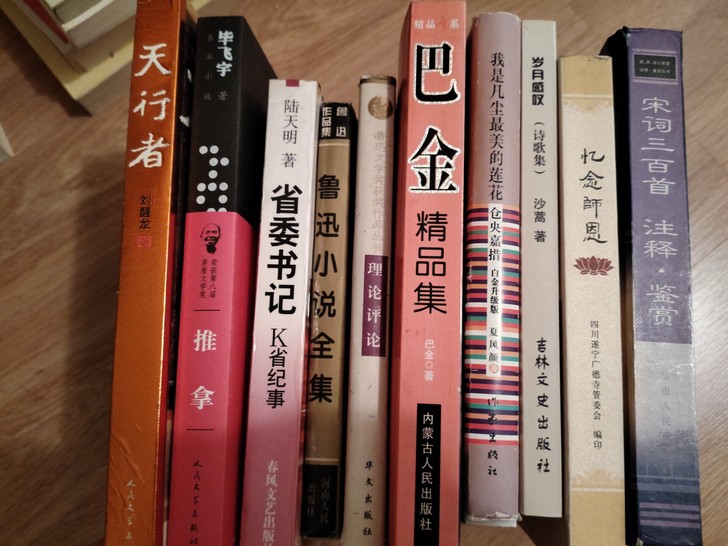 十本书，文学类。8-9成新。