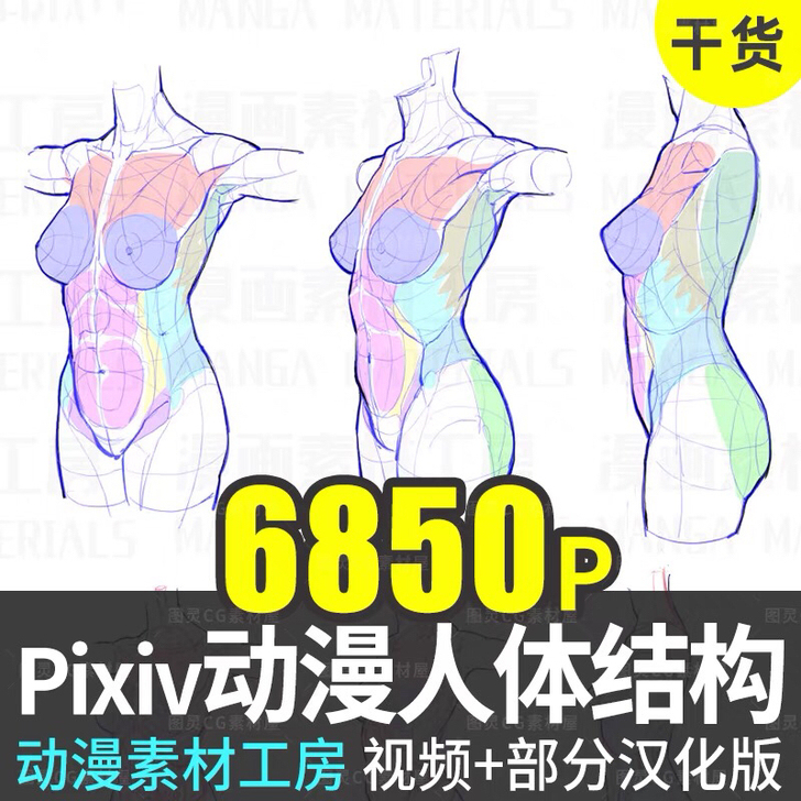 基础人体结构线稿素材 人体比例结构绘画素材...