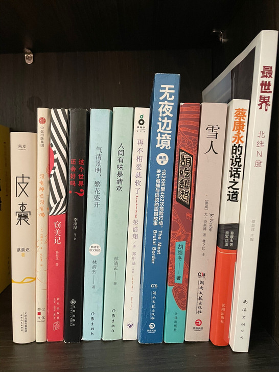 皮囊蔡崇达,书籍,林清玄,无夜边境,蔡康永