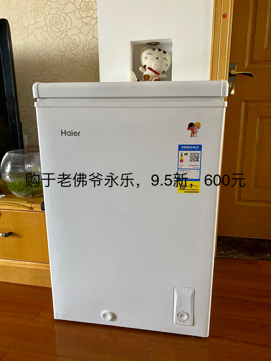 海尔小冷柜（小冰箱），购于嘉兴老佛爷永乐店...