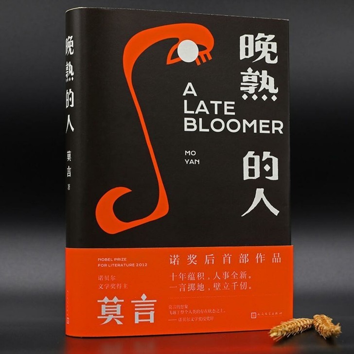 晚熟的人 莫言