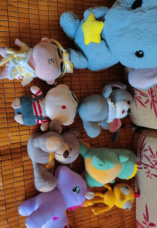 玩偶 有抓得有别人送的也有买的