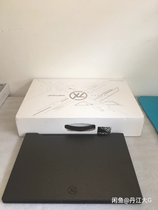 华硕天选ROG FX516P 系列 笔记本...